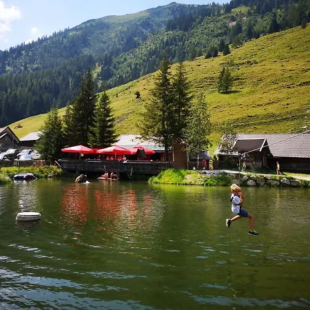 Schmiedalm * Haus im Ennstal