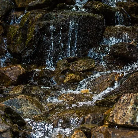 Schmiedalm Ferienhaus Haus im Ennstal